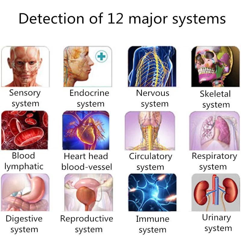 2021 Multilingual 9D NLS Cell Diagnostics Bioresonance Sub Health Body Analyzer Diacom Quantum Bioresonance - Image 3