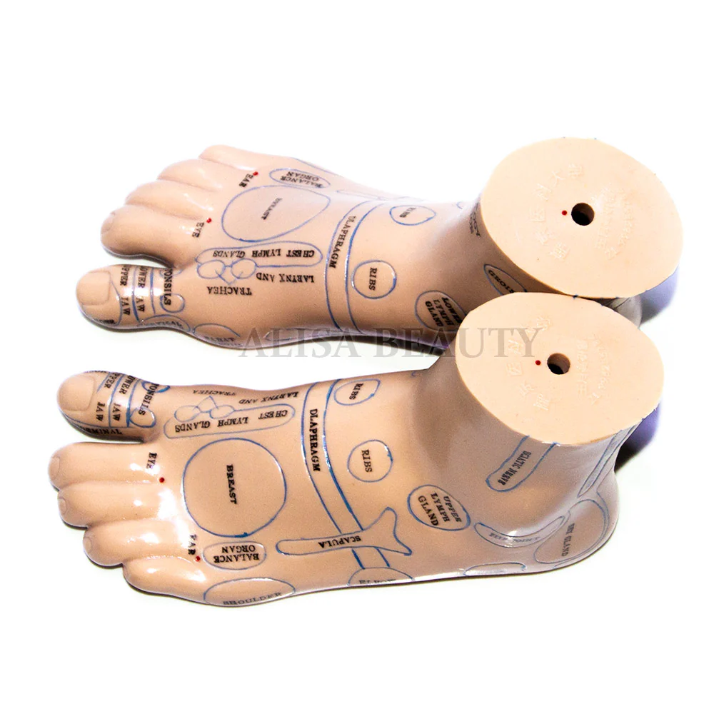 High quality 20cm Foot acupuncture model foot acupuncture needle acupoint model foot acupuncture point model Teaching Tool 2pcs - Image 3