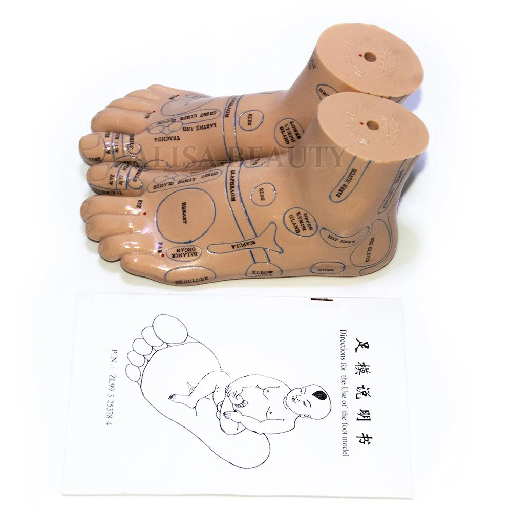 High quality 20cm Foot acupuncture model foot acupuncture needle acupoint model foot acupuncture point model Teaching Tool 2pcs - Image 4